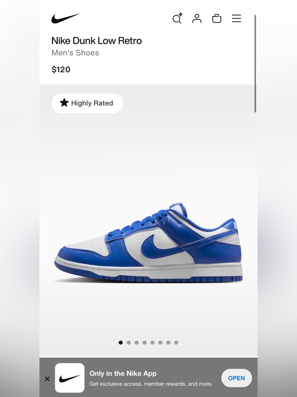 Nike Dunk Low Retro - Size 10 Mens